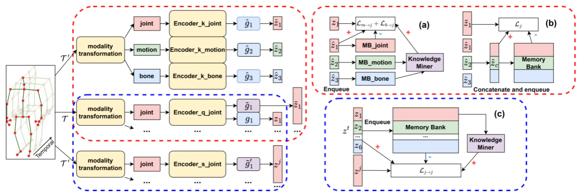 Elevating Skeleton-Based Action Recognition with Efficient Multi-Modality Self-Supervision — research illustration