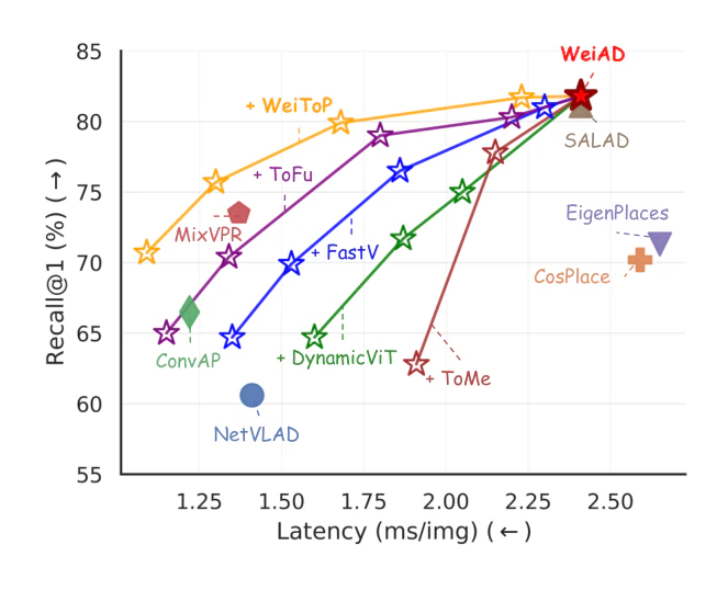 Faster or Stronger: Towards Flexible Visual Place Recognition via Weighted Aggregation and Token Pruning — research illustration